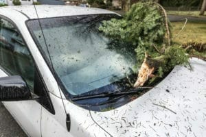 Who-pays-when-a-fallen-limb-damages-your-car